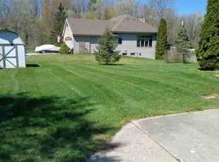 Michael C.'s Lawn Care service result