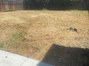 Cleanups by Michael Leftridge for Shayla E. in Berkeley, CA