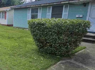Bush Trimming by Ladarron Black for Jeffrey A. in Burlington, NJ