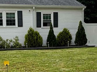 Bush Trimming by Tutu Okundaye for Farah L. in Brockton, MA