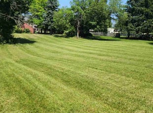 Brian D.'s Lawn Maintenance service result