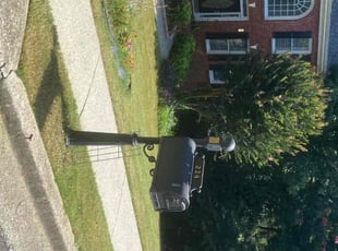 Bernardo S.'s Yard Cutting service result