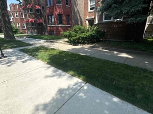 Kelly L.'s Lawn Mowing service result