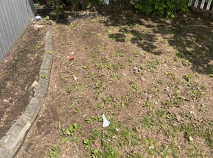 Leaf Removal by Justin Castilyn for Christoper C. in Pittsburgh, PA