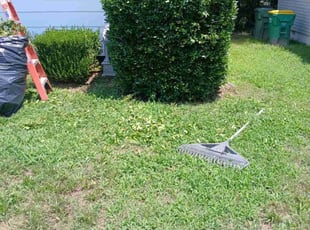Bush Trimming by Brandon Hughes for James W. in Richmond, VA