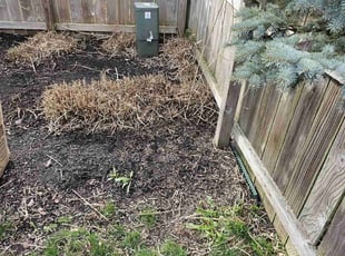 Bush Trimming by Leroy Green II for Victor F. in Westerville, OH