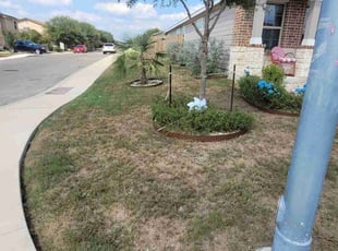 Bush Trimming by Aurian Medina for Katherine D. in San Antonio, TX