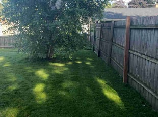 Nina D.'s Lawn Service service result