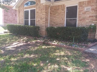 Bush Trimming by Maria Estrada Corona for Curtis W. in Grand Prairie, TX