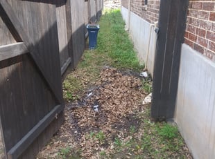 Cleanups by Jason Westgor for Lauren M. in San Antonio, TX