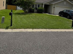 Aaron L.'s Lawn Mowing service result