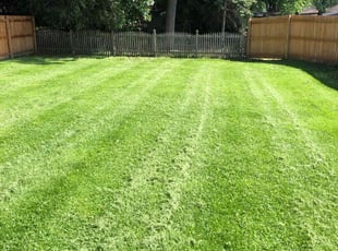 Rebecca C.'s Lawn Maintenance service result
