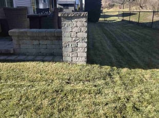 Cleanups by Jose Perez for Sam L. in Wheeling, IL