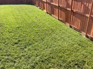 Alma R.'s Lawn Service service result