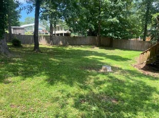 Jada H.'s Lawn Maintenance service result