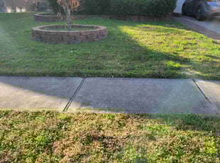 Sandra P.'s Lawn Mowing service result