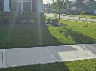 Robert C.'s Lawn Mowing service result