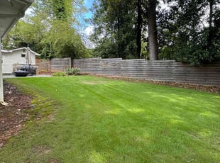 Esmie B.'s Lawn Care service result