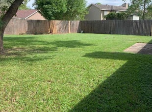 Tammy H.'s Lawn Mowing service result