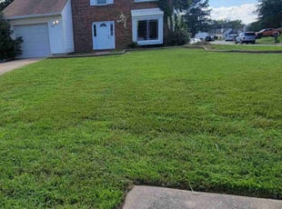 Connie C.'s Lawn Mowing Service service result