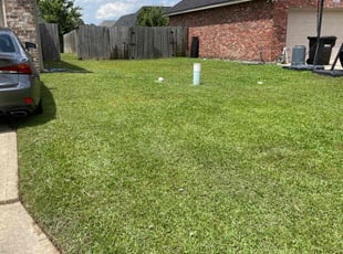 Seleena V.'s Yard Cutting service result