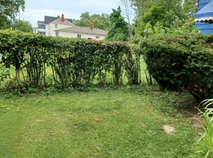 Bush Trimming by Darnell Stribling for Michelle W. in Cleveland, OH
