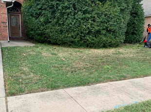 Bush Trimming by Mowpro's Llc for Timothy R. in Haltom City, TX