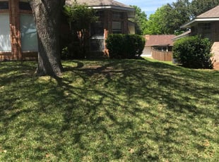 Anh B.'s Lawn Mowing Service service result