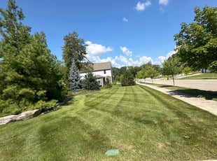 Teshan A.'s Lawn Mowing Service service result