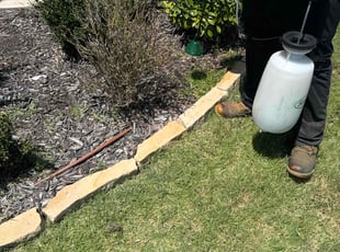 Weeding by Brennen Dikes for Frieda K. in Burleson, TX