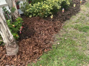 Mulching by Quinton Davis for Megan D. in Davenport, FL