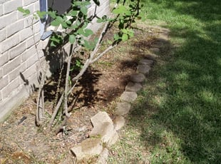 Weeding by Louis Leneir for Kathleen T. in Houston, TX
