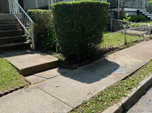 Bush Trimming by Dimas Lopez for Lance T. in Baltimore, MD