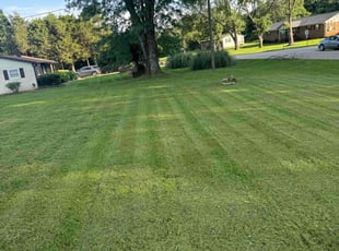 JoAnn S.'s Lawn Service service result