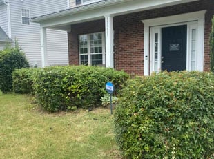Bush Trimming by Shawn Pressley for Jeff N. in Matthews, NC