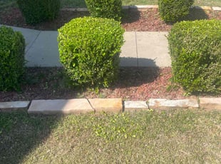 Bush Trimming by Curtis Stewart for Madison H. in Little Rock, AR