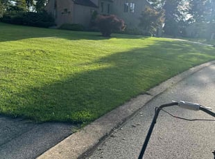 Thaddeus D.'s Yard Cutting service result