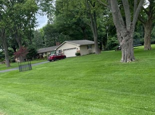 Ingrid P.'s Lawn Care service result