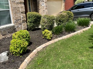 Bush Trimming by Adel Baker for Joe N. in San Antonio, TX