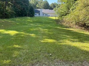Talinda B.'s Yard Cutting service result