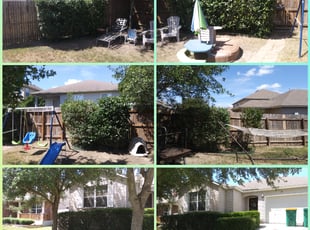 Bush Trimming by Teno Cardoso for Darla B. in Converse, TX