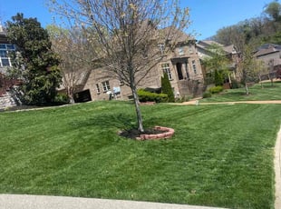 Deborah D.'s Lawn Mowing service result