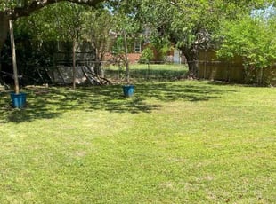 Freddie S.'s Lawn Care service result