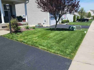 Ryan D.'s Lawn Maintenance service result