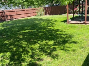 James M.'s Yard Cutting service result