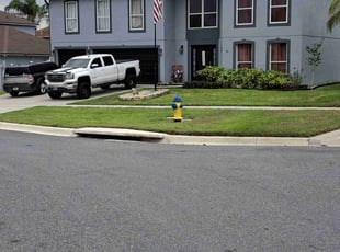 Marizela C.'s Lawn Care service result