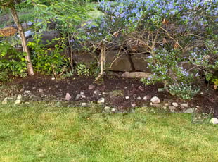 Weeding by Tuan Truong for Brianna D. in Renton, WA