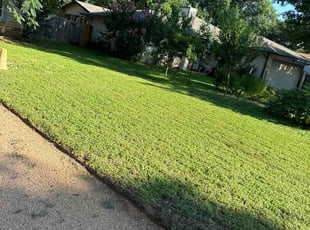 Angel M.'s Yard Cutting service result