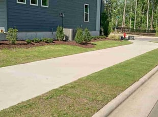 Ayanna C.'s Lawn Maintenance service result