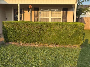 Bush Trimming by Fidel Andasol Gonzalez for Selina G. in Murfreesboro, TN